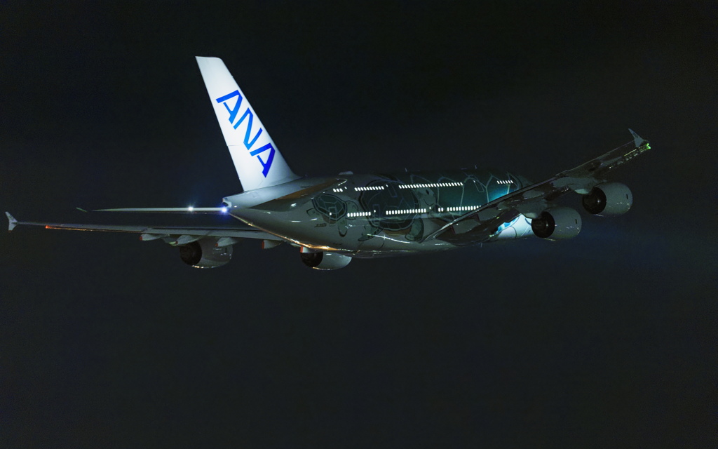 にっこりカイ君ホノルルへ