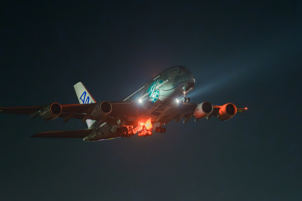 カイ君