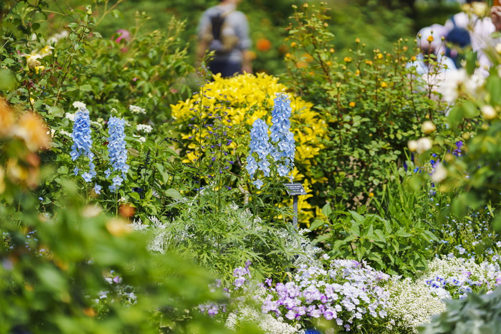 港の見える丘公園にて