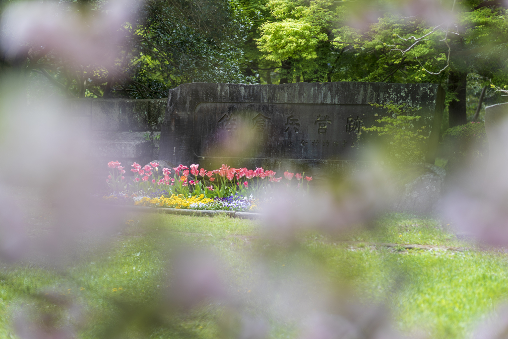 公園散策２