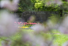 公園散策２