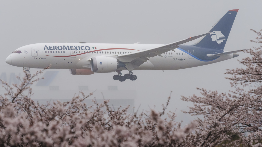 3年ぶりのアエロメヒコ航空