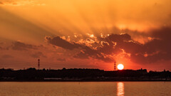 西印旛沼夕景