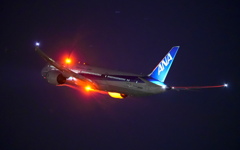 ANA's 50 787