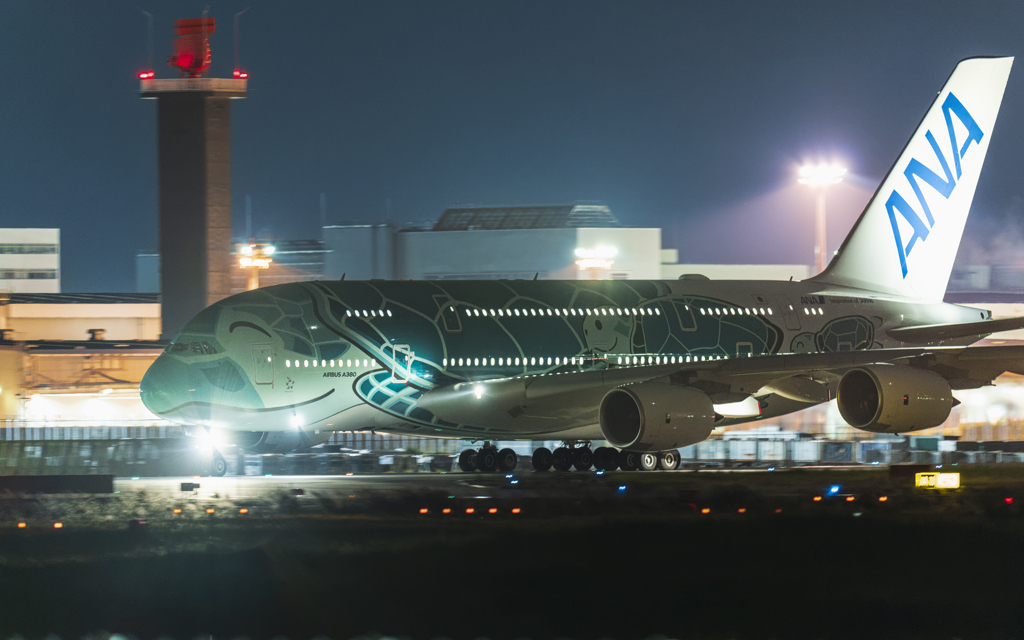 さくらの山公園より