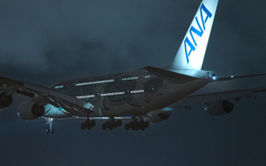 にっこり　カイ君　クリスマスフライト