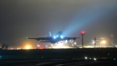 にっこりカイ君ホノルルへ