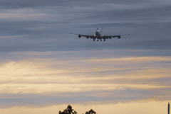 CATHAY PACIFIC CARGO