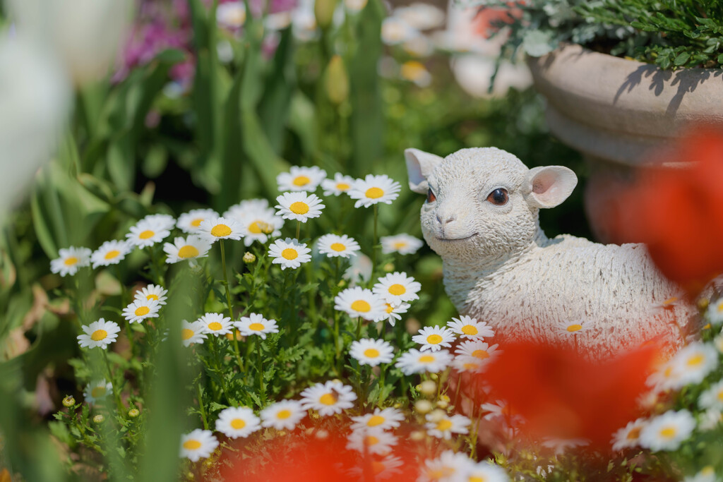 チューリップ祭りにて