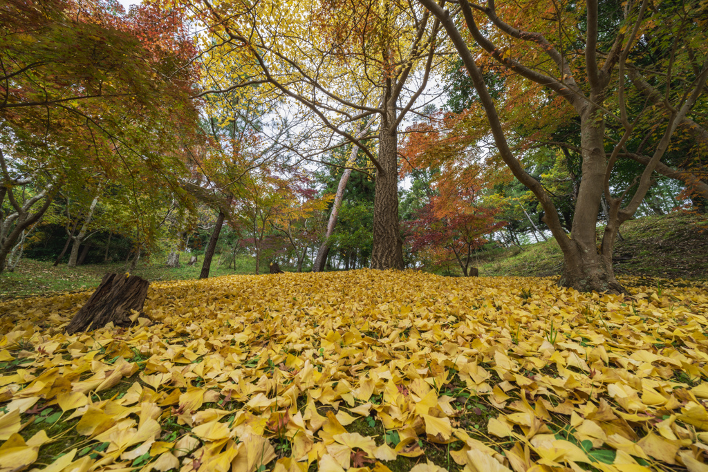 錦秋成田山