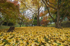 錦秋成田山