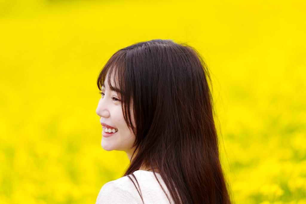 菜の花畑で