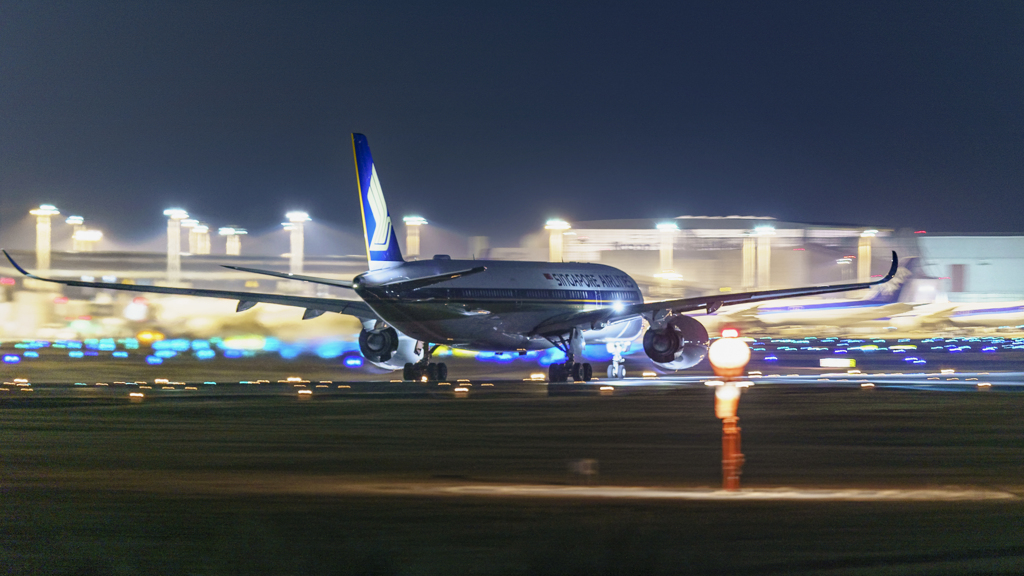 さくらの山より