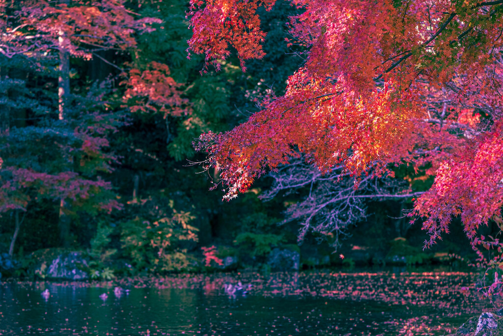 成田山新勝寺