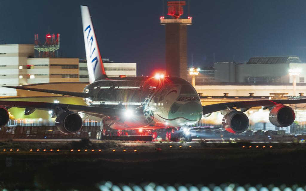 さくらの山公園より