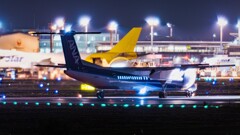 さくらの山公園より