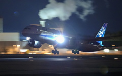 ANA's 50 787