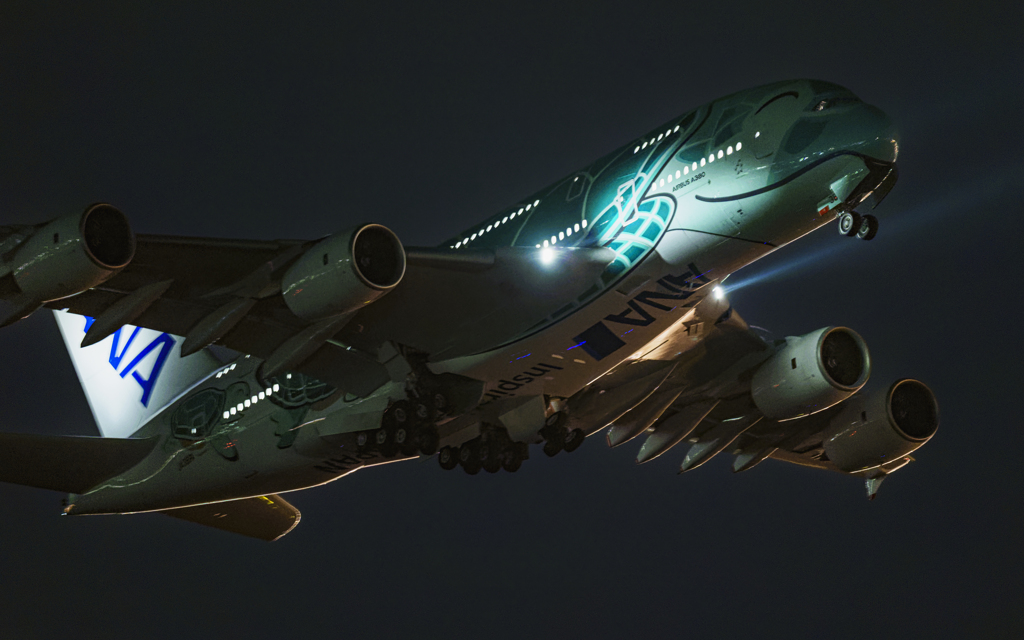 にっこりカイ君ホノルルへ