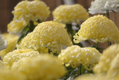 成田山新勝寺にて