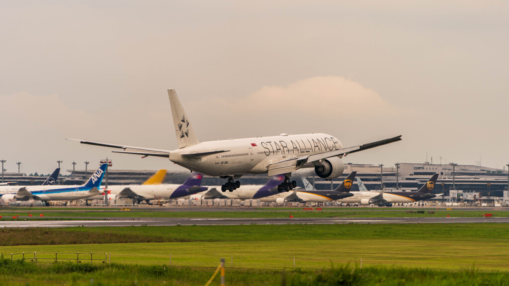 STAR ALLIANCE　シンガポール航空