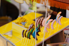 チューリップ祭りにて