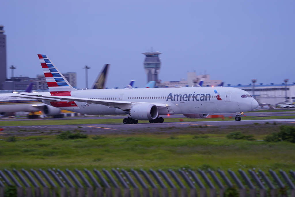 成田空港　さくらの山より
