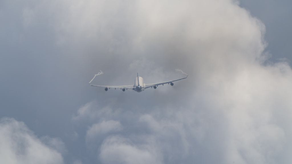 Scandinavian Airlines System