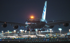 にっこり　カイ君　クリスマスフライト