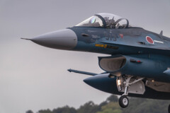 F-2A