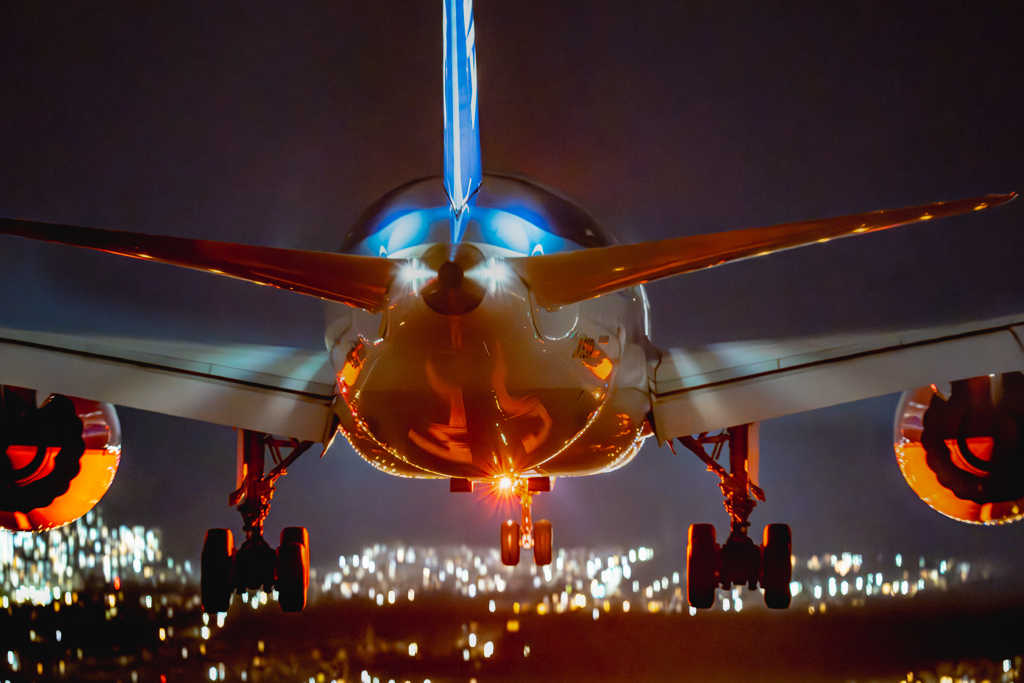 ANAの787