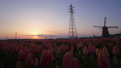 鉄塔と夕陽