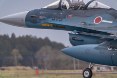 F-2A