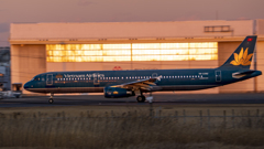 黄金のベトナム