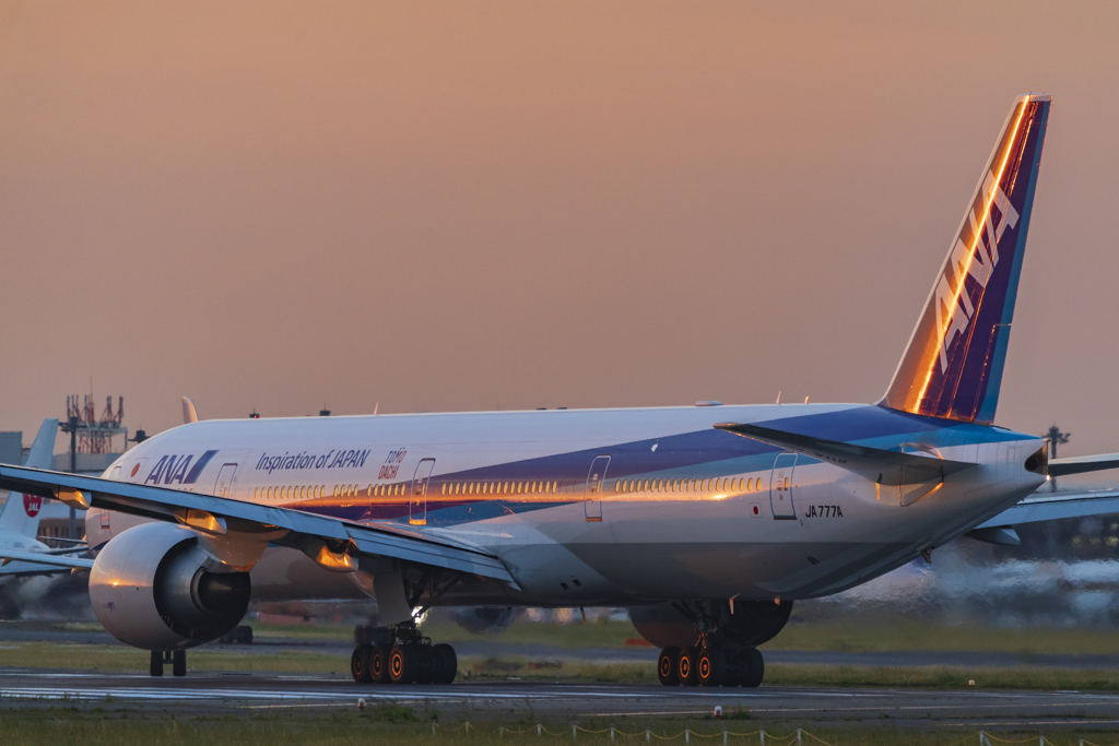 ひこうきの丘より