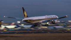 さくらの山にて