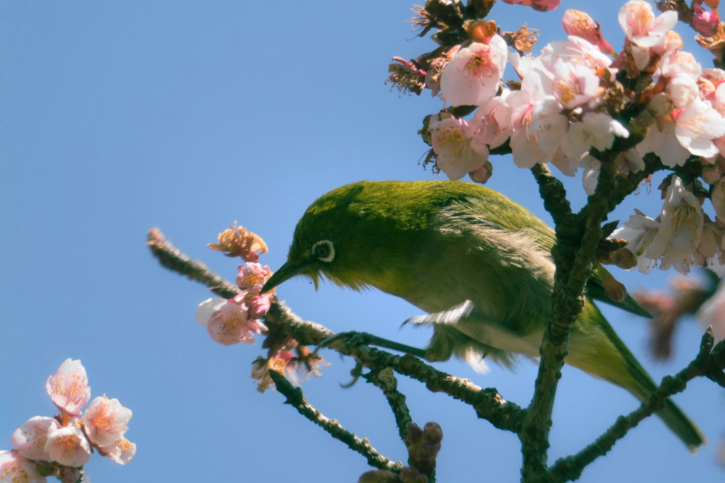 近所の公園にて