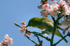 近所の公園にて