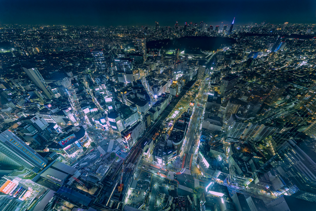 渋谷の夜景