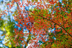 成田山公園にて