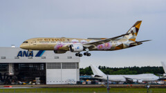 エティハド航空