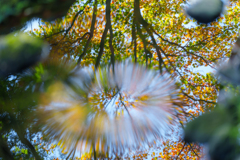 昭和記念公園にて