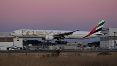 アラブ首長国連邦建国50周年記念特別塗装機