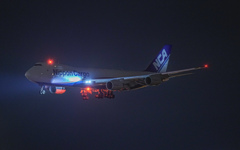 NIPPON CARGO