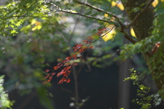 成田山新勝寺にて
