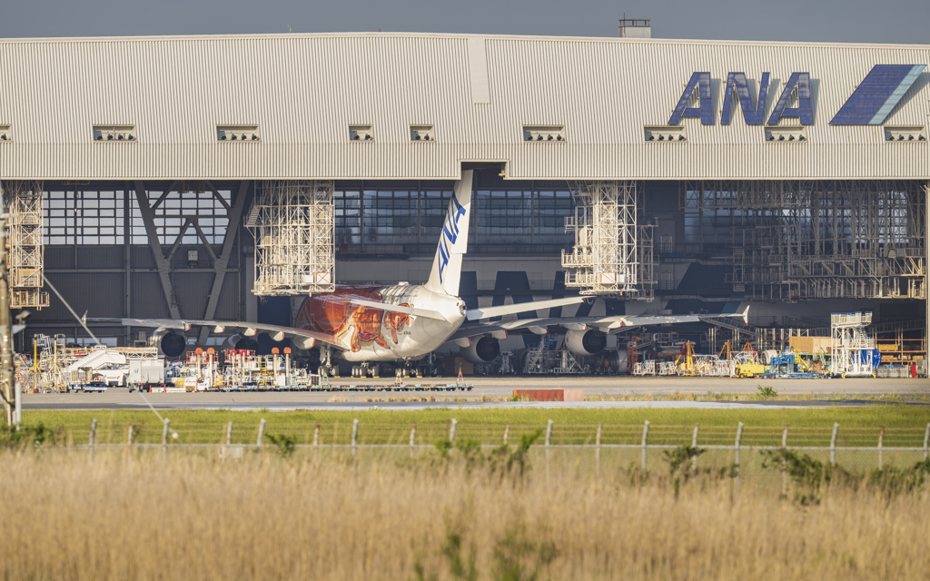 ラーちゃん出番待ち