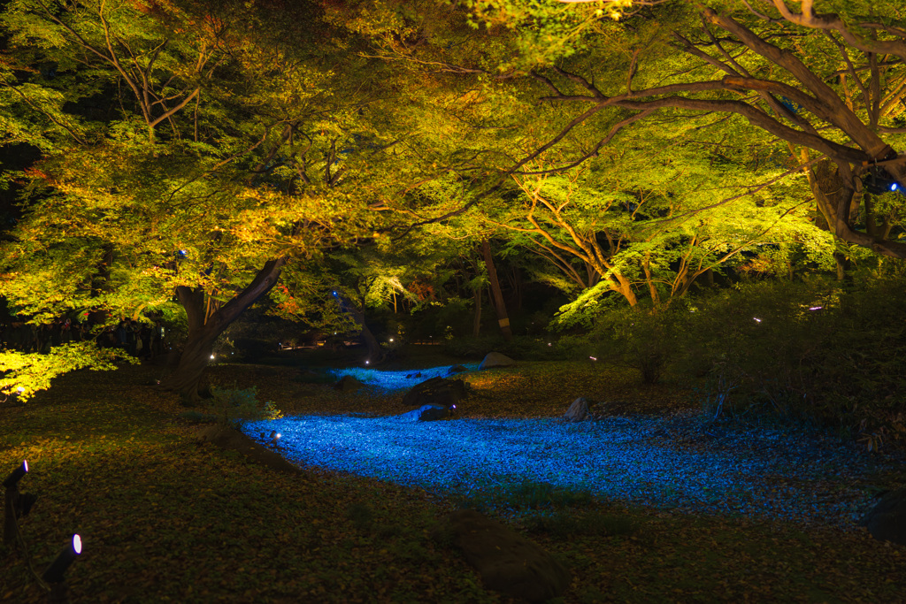 六義園にて