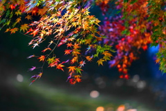 成田山新勝寺