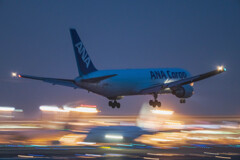 ANA　Cargo