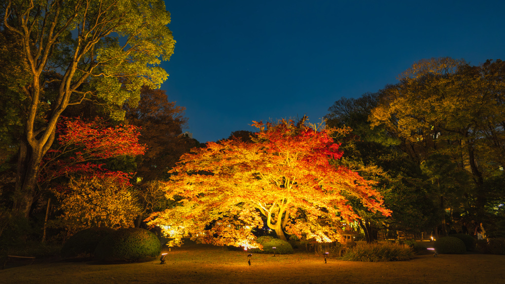 六義園にて