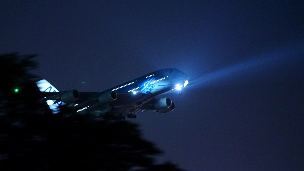 JA381A(ラニ君）